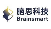 深圳市脑思科技有限公司